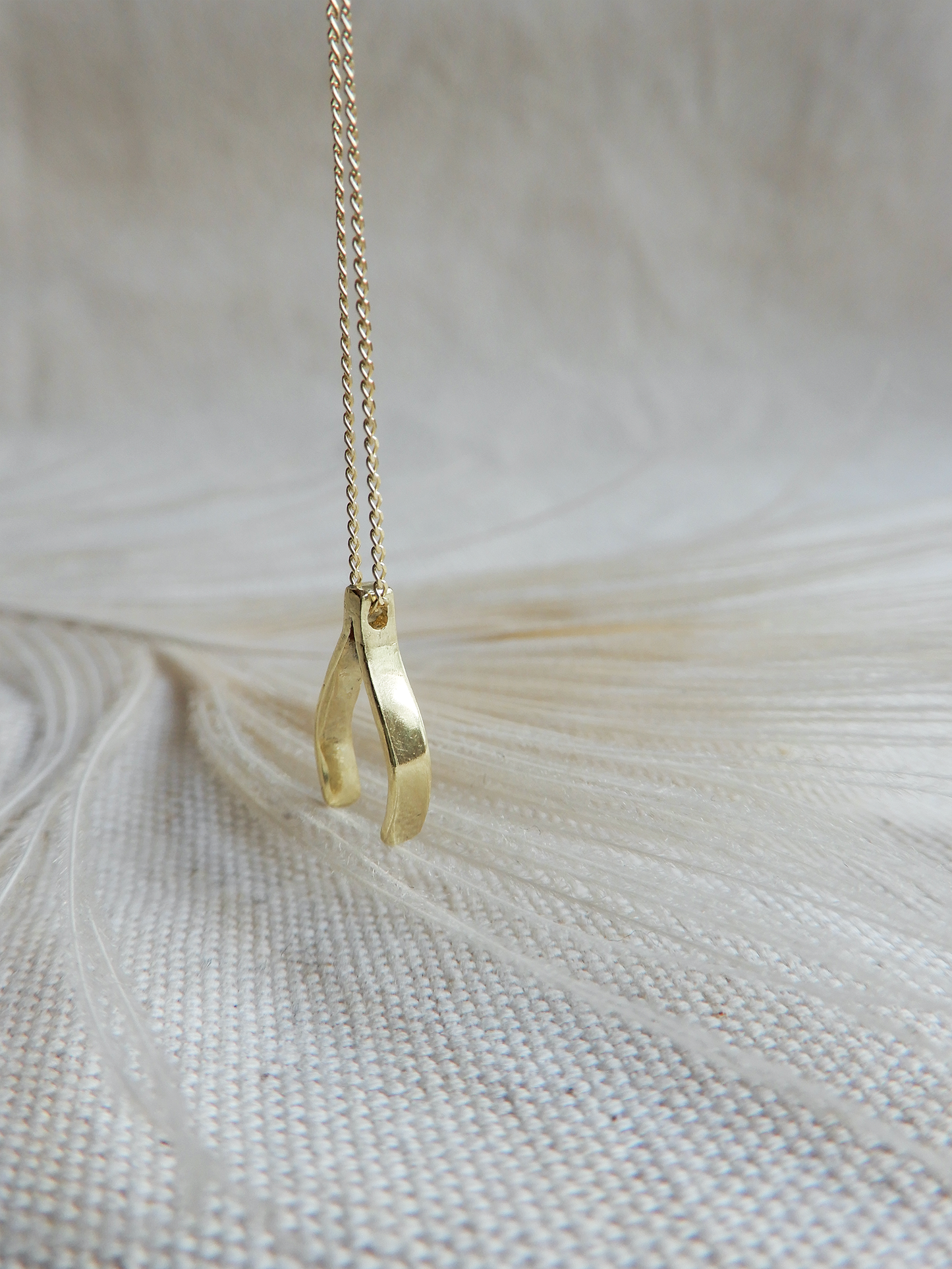 Necklace | The golden wishbone